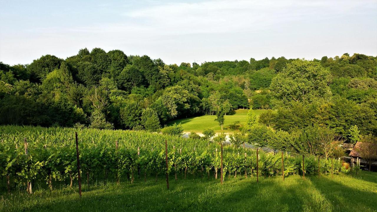 La Valle Nervesa della Battaglia Экстерьер фото